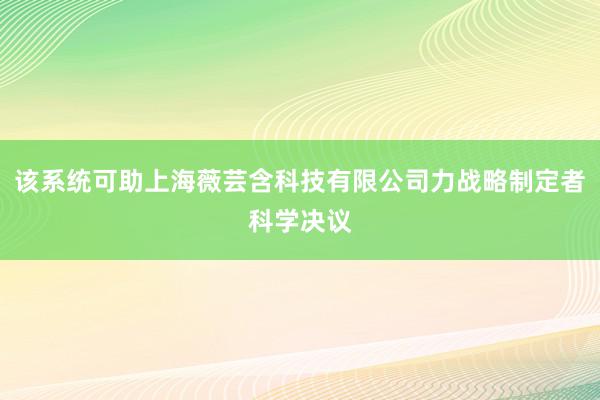 该系统可助上海薇芸含科技有限公司力战略制定者科学决议